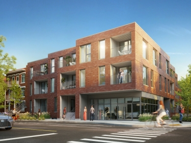 Lomboi - New condos in Ahuntsic: 4 bedrooms and more