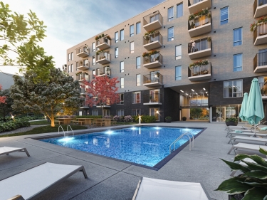 Solaia - by Construction ZA-NE - Images