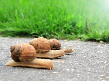 When is the ideal timing to purchase a home?  - The 'extras' that add value to your condo